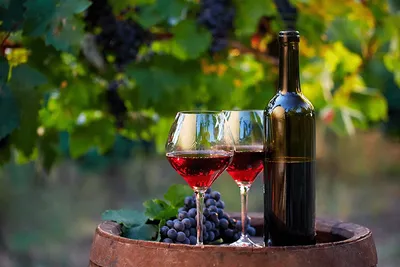 Vinos y Espumantes