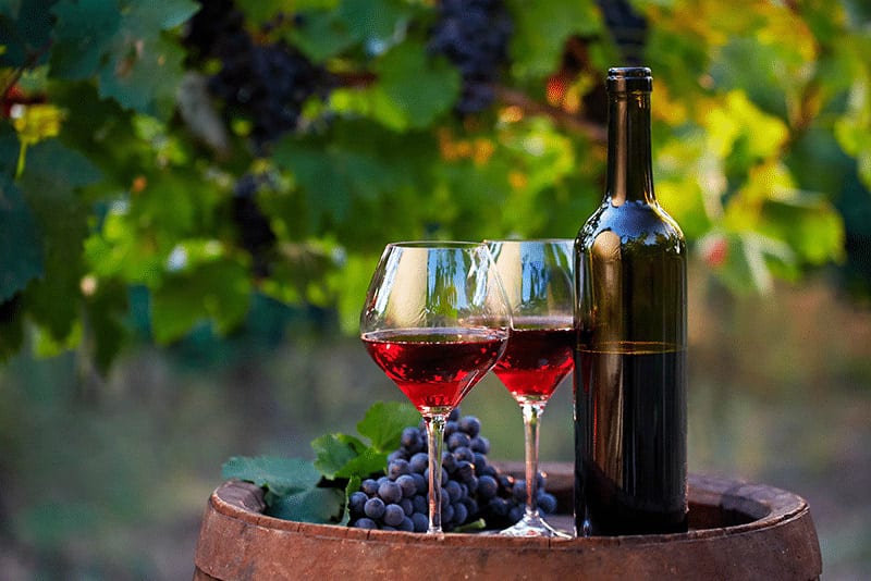 Vinos y Espumantes